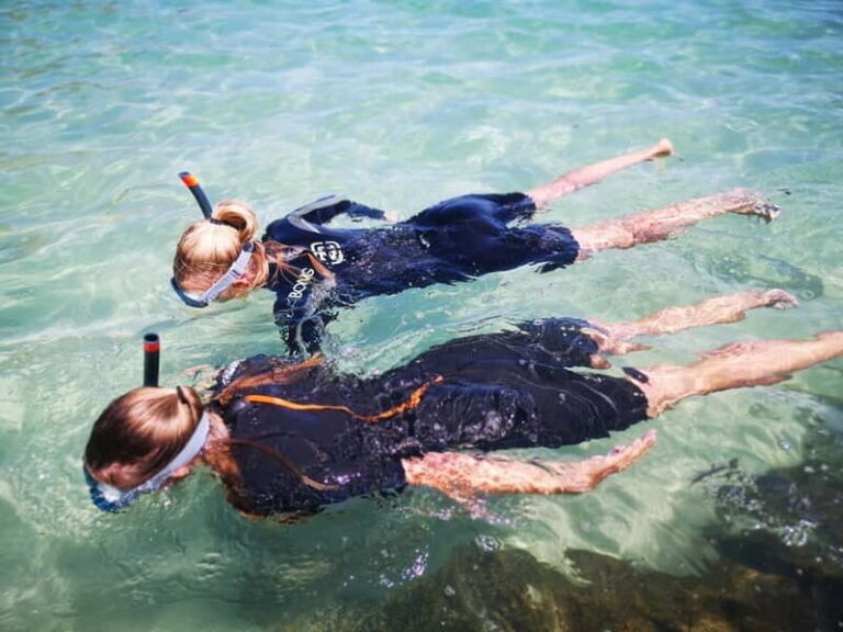 Arrábida: Kayaking and Snorkeling Experience - The Breakdown of the Itinerary
