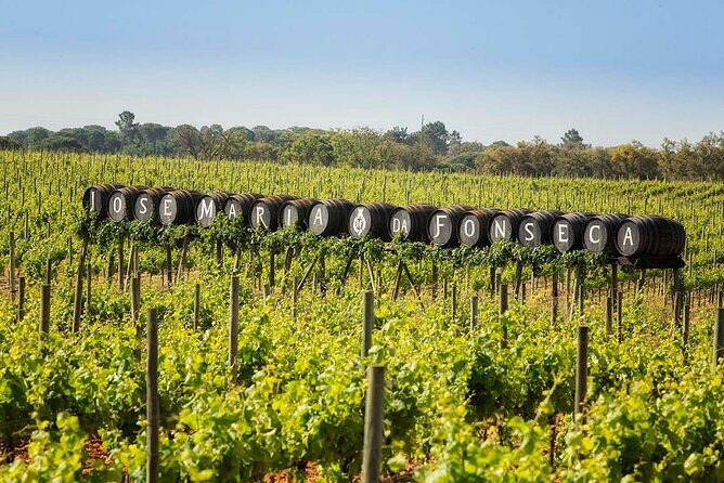 Arrábida-Palmela wine tasting, c/pick up hotel Private Tour - Transportation and Logistics