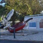 Arrábida: Private Setubal Highlights Tour (Full Day) - Practical Considerations