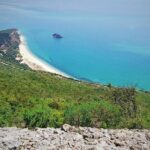 Arrábida tour with wine tasting - What to Expect from the Experience