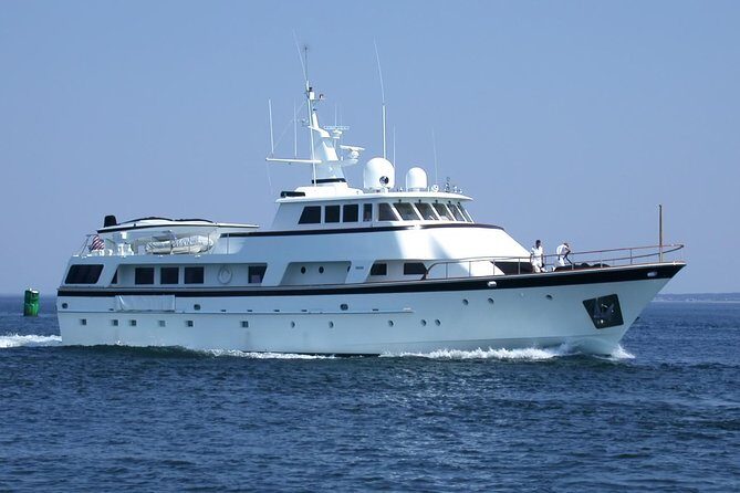 Arrival or Departure Private Transfer: Gatwick Airport to Southampton Cruise Port - What Makes This Private Transfer Stand Out