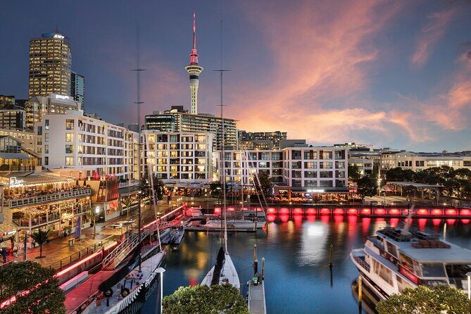 Arrival Private Transfer from Auckland Airport AKL to Auckland in Business Car - In-Depth Look at the Experience