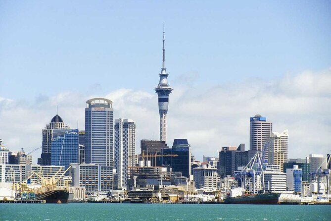 Arrival Private Transfer from Auckland Airport AKL to Auckland in Luxury Van - Summary of the Experience