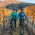 Arrowtown to Gibbston: Full-Day Bike & Wine Tour - Exploring the Itinerary in Depth