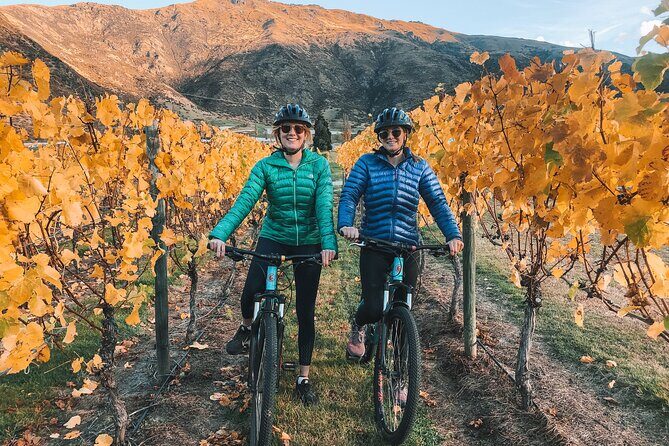 Arrowtown to Gibbston: Full-Day Bike & Wine Tour - Exploring the Itinerary in Depth