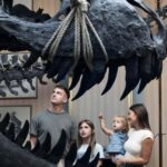 Art Zoo Museum: Art meets nature in a 17th-Century House - Why Visit the Art Zoo Museum?