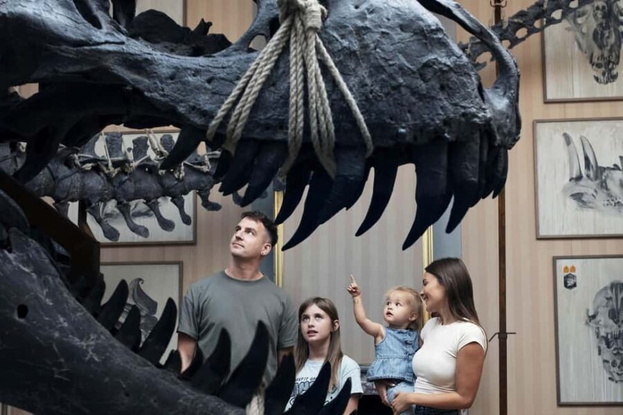 Art Zoo Museum: Art meets nature in a 17th-Century House - Why Visit the Art Zoo Museum?