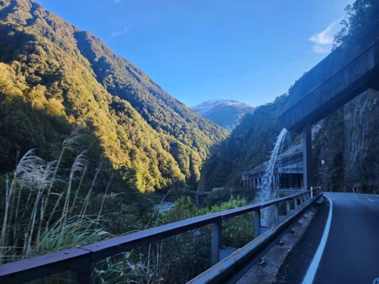 Arthurs Pass Tour From Christchurch via CHC-GRZ TranzAlpine - Detailed Review of the Arthurs Pass Tour from Christchurch