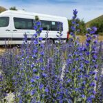 Arthurs Pass Tour From Christchurch With Jet Boat & TranzAlpine - Final Thoughts
