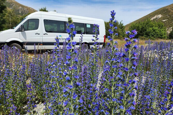 Arthurs Pass Tour From Christchurch With Jet Boat & TranzAlpine - Final Thoughts