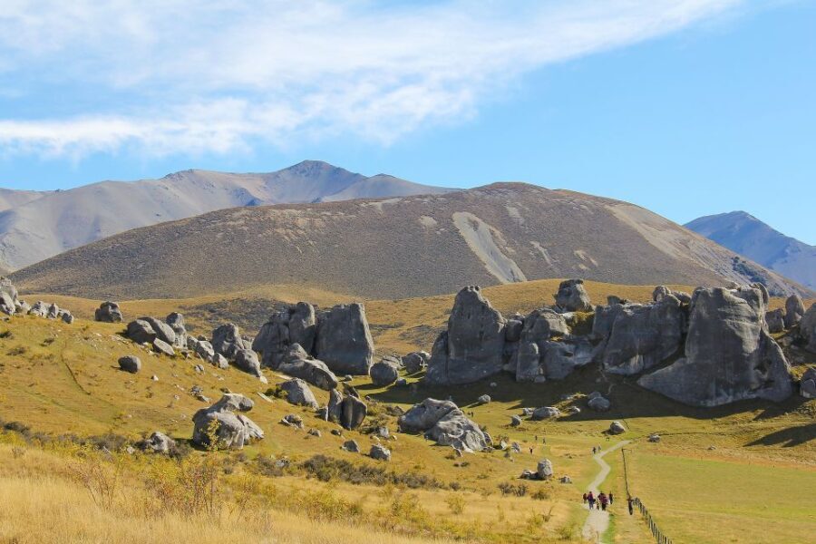 Arthur's Pass: TranzAlpine Train and Castle Hill Day Tour - Transportation and Comfort