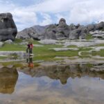 Arthurs Pass with Optional TranzAlpine Train - The Experience in Detail