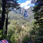 Arthur's Pass with optional TranzAlpine Train (Small Group Tour) - A Closer Look at the Tour Experience