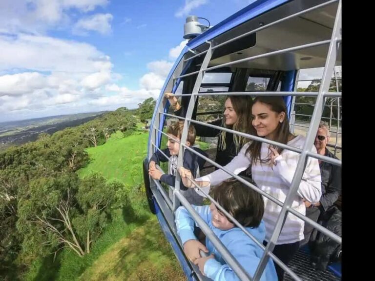 Arthurs Seat Eagle: Scenic Gondola Ride - A Closer Look at Arthurs Seat Eagle