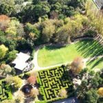 Ashcombe Maze & Lavender Gardens - Final Thoughts: Is It Worth It?
