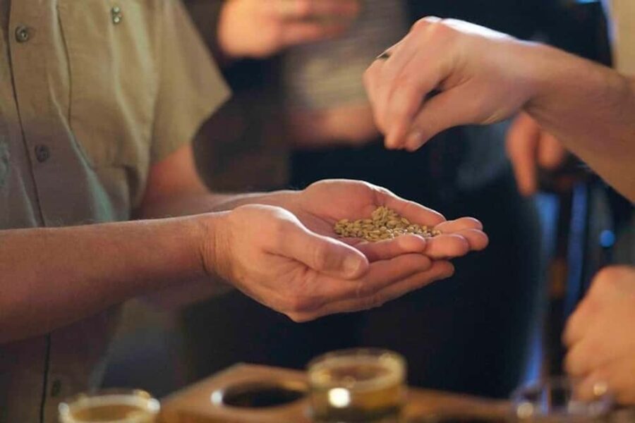Asheville: 3 Brewery Walking Tour with Tastings - Exploring Asheville’s Brewery Scene on Foot