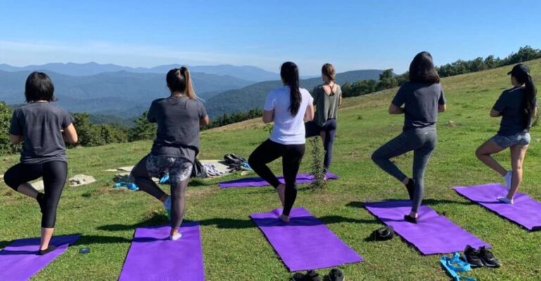 Asheville: Yoga on a Mountain Hike - Exploring the Experience: What to Expect