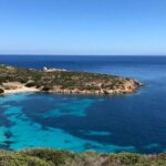 ASINARA ISLAND-TOUR full day Minivan in the National Park - Who Should Consider This Tour?