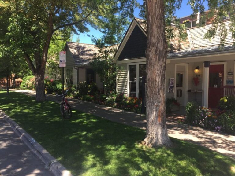 Aspen: From Past to Present History Walking Tour - Summary: Who Should Consider This Tour?