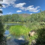 Aspen: Guided Light Hike with Roaring Fork River Views - Who Should Consider This Tour?