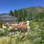Aspen's Off the Beaten Path Scenic Walking Tour - A Detailed Look at Aspens Off the Beaten Path Scenic Walking Tour