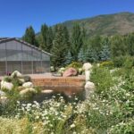 Aspen's Off the Beaten Path Tour - Who Will Enjoy This Tour Most?