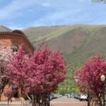 Aspen's Past to Present Historic Tour - Why This Tour Works for Travelers