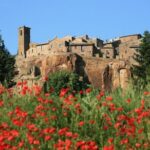 Assisi and Orvieto Guided Day Tour from Rome with Lunch - Who Would Love This Tour?
