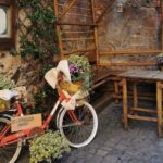 Assisi and s. Francis Basilicas Day Tour from Rome - FAQs