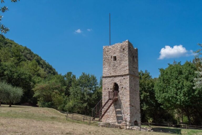 Assisi: Bosco di San Francesco Entry Ticket - What to Expect at the Bosco di San Francesco