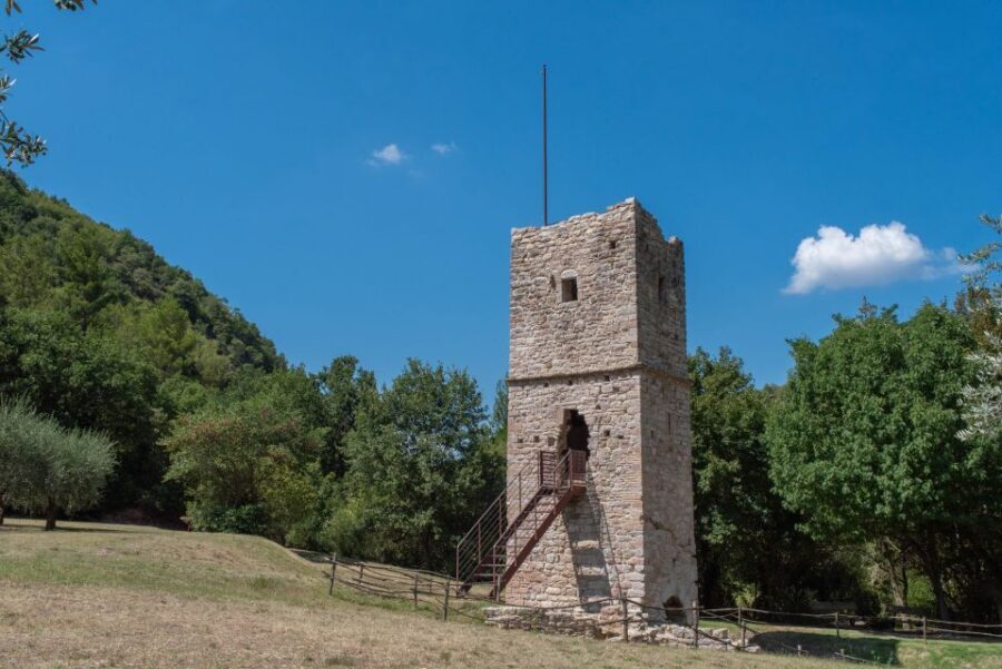 Assisi: Bosco di San Francesco Entry Ticket - What to Expect at the Bosco di San Francesco
