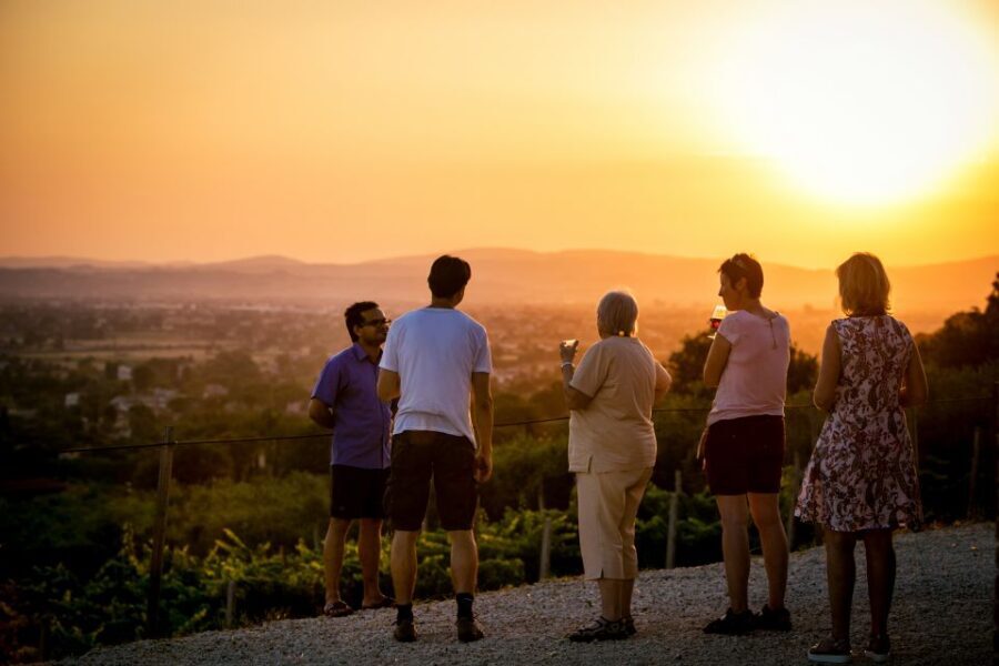 Assisi: Organic Winery Tour with Tastings & Typical Food - An In-Depth Look at the Assisi Organic Winery Tour