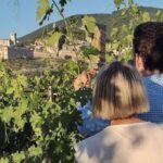 Assisi: Wine tasting, gourmet pairing, walk in the vineyards - Exploring Assisi’s Vineyard of Assisi: A Practical Guide