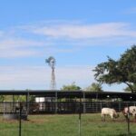 Astroville Round-Trip Shuttle Transportation to NASA Space Center - The Value of the Tour