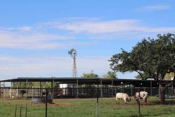 Astroville Round-Trip Shuttle Transportation to NASA Space Center - The Value of the Tour