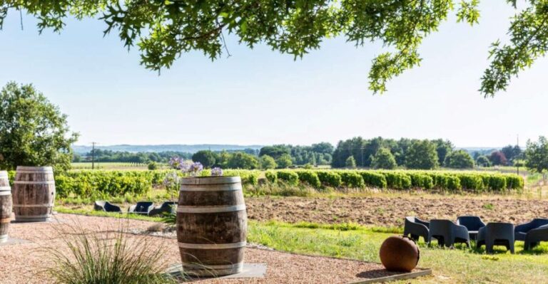 At the gates of Toulouse: from the vine to the cellar - A detailed look at what to expect