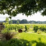 At the gates of Toulouse : Gourmet Tour - Walk and Tastings - Practical Details and Tips