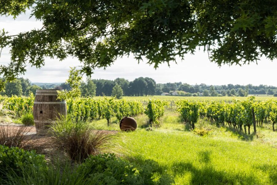 At the gates of Toulouse : Gourmet Tour - Walk and Tastings - Practical Details and Tips