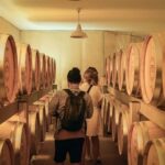 At the heart of a Grand Cru: tour & tasting in Saint-Émilion - Key Points