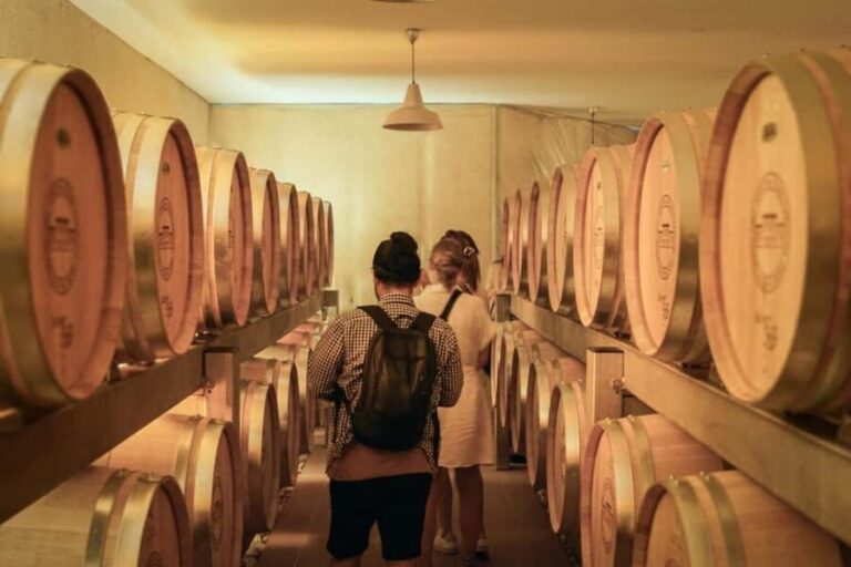 At the heart of a Grand Cru: tour & tasting in Saint-Émilion - Key Points