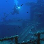 Athens: Adventure Dives in Nea Makri for Certified Divers - What Makes This Dive Trip Stand Out?