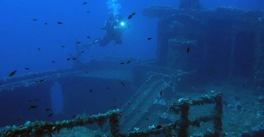 Athens: Adventure Dives in Nea Makri for Certified Divers - What Makes This Dive Trip Stand Out?