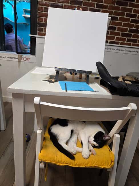 Athens: Cat Café Paint & Sip Experience - Who Will Love This Experience?