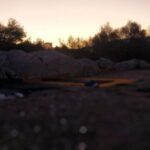 Athens Mythical Yoga & Meditation Sunrise & Sunset - What Travelers Love About This Tour