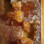Athens: Premium Greek Honey Tasting - A Closer Look at the Honey Tasting Experience in Athens