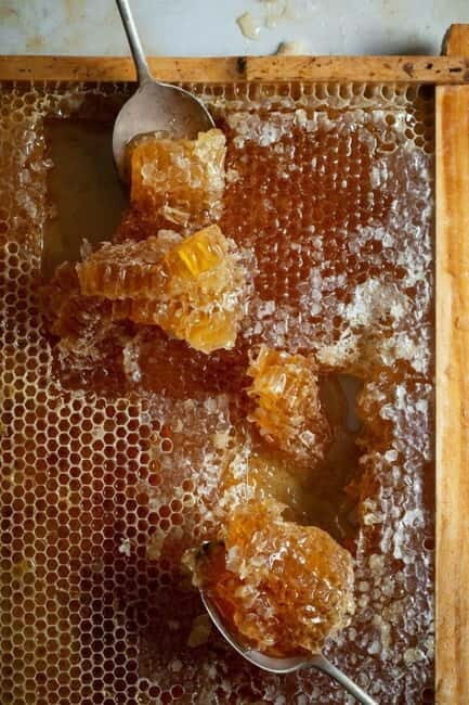 Athens: Premium Greek Honey Tasting - A Closer Look at the Honey Tasting Experience in Athens