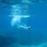 Athens: Private Cruise with Snorkeling and Swimming - Final thoughts