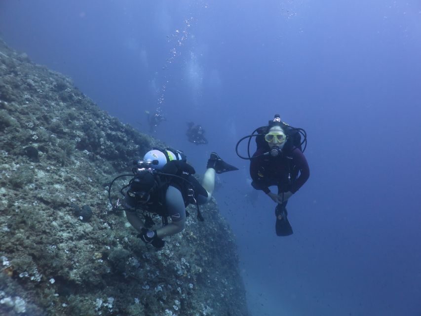 Athens: Private Discover Scuba Diving for Beginners - A Closer Look at the Athens Discover Scuba Experience