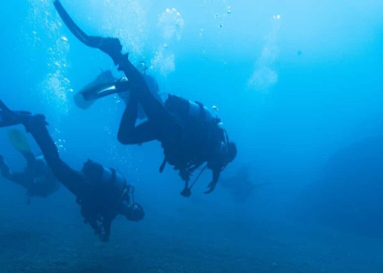 Athens: Snorkeling Tour - Who Will Enjoy This Tour Most?