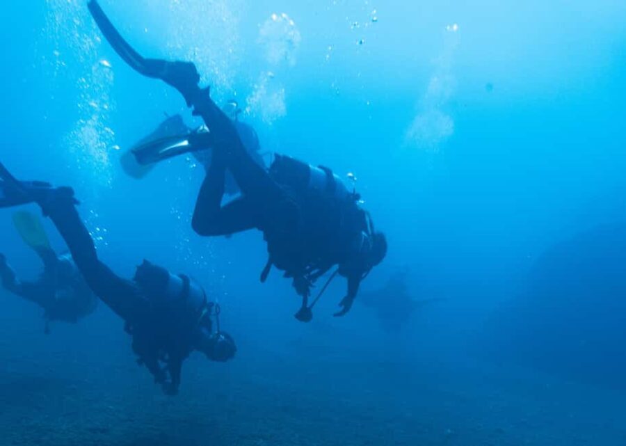 Athens: Snorkeling Tour - Who Will Enjoy This Tour Most?